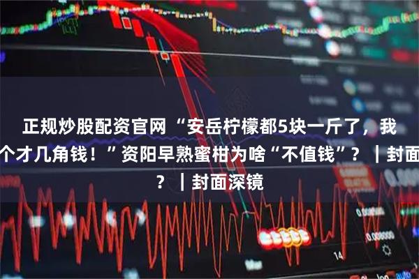 正规炒股配资官网 “安岳柠檬都5块一斤了，我们这个才几角钱！”资阳早熟蜜柑为啥“不值钱”？｜封面深镜